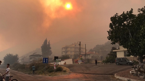 Söke’de makilik alanda başlayan yangın ormana sıçradı