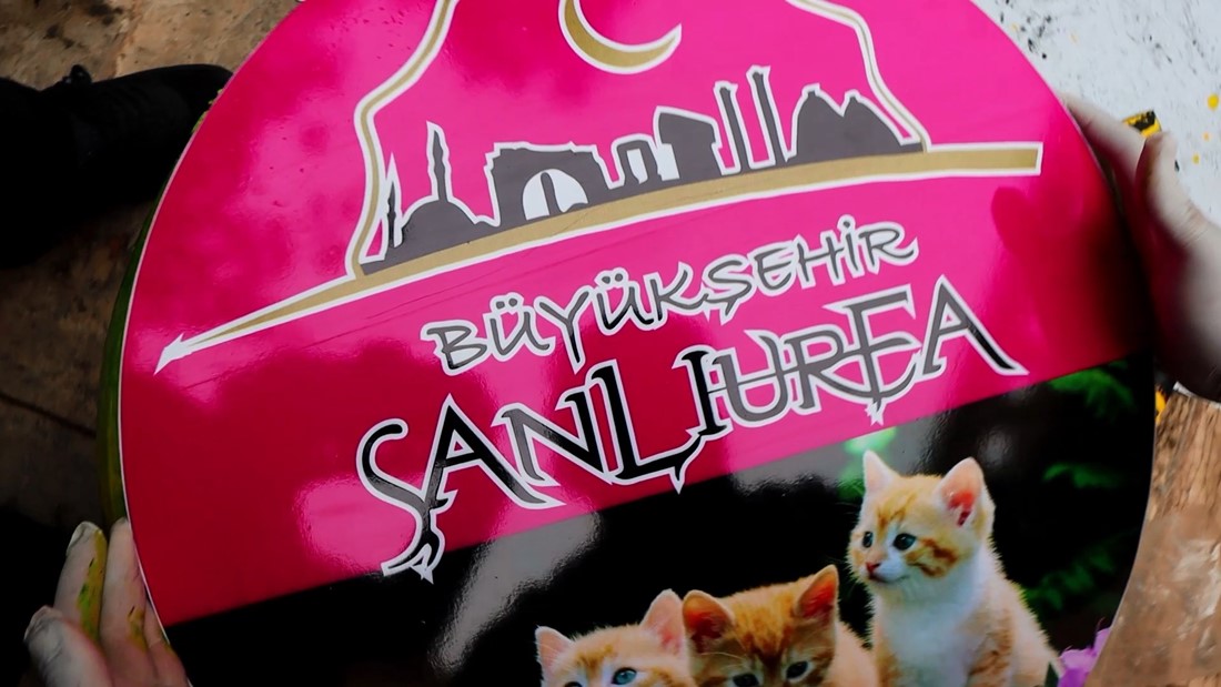 ŞANLIURFA BÜYÜKŞEHİR BELEDİYESİ KEDİ EVİ PROJESİNİ HAYATA GEÇİRDİ